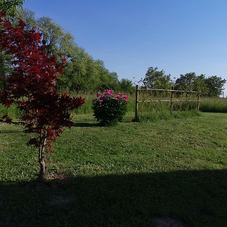 La Ferme De La Terve Bed and Breakfast Bruailles Εξωτερικό φωτογραφία
