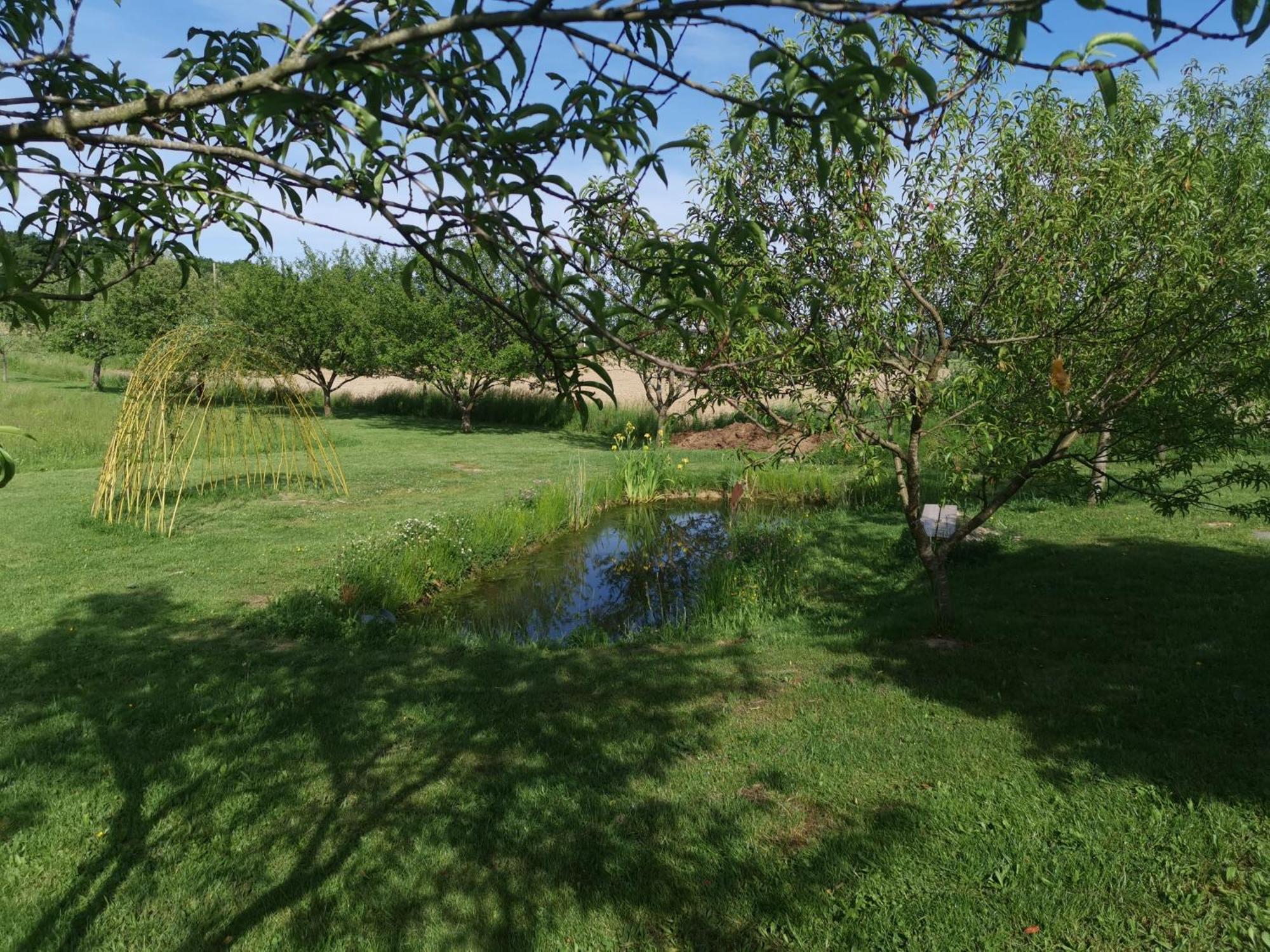 La Ferme De La Terve Bed and Breakfast Bruailles Εξωτερικό φωτογραφία